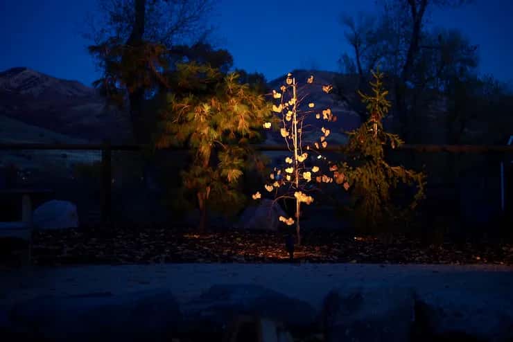 Landscape lighting