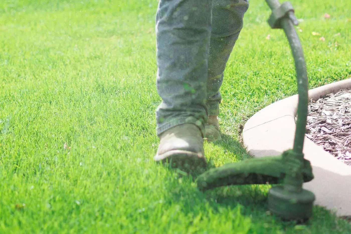 Premium sod installation